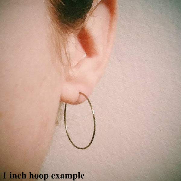 Pure Titanium Hoop Earrings