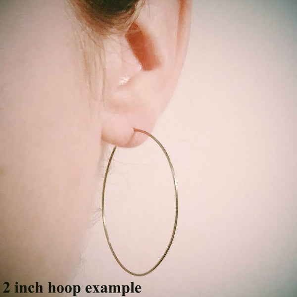 Pure Titanium Hoop Earrings